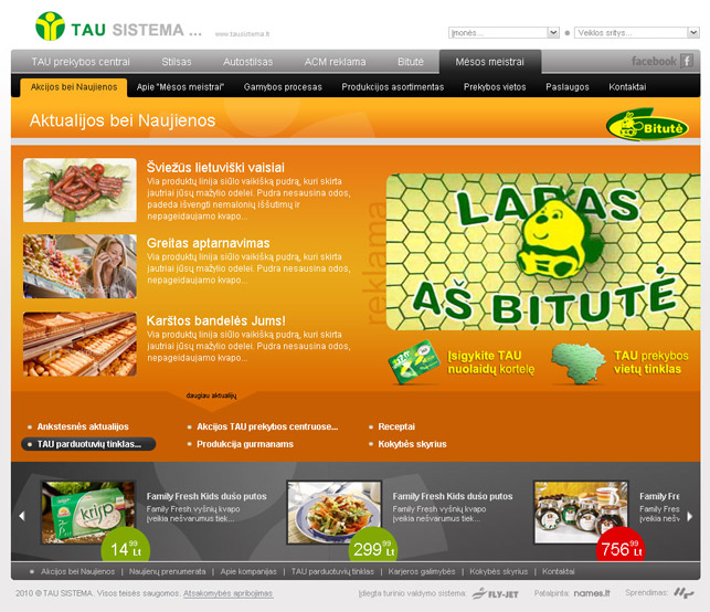 WebSite Design Development